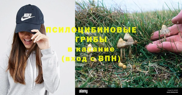 кокаин премиум Белокуриха