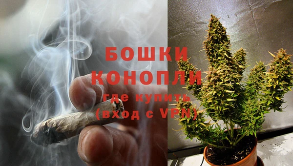 амф Зерноград