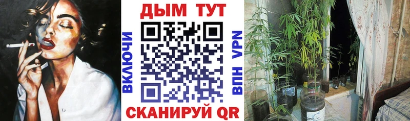 Марихуана тримм  Великие Луки 